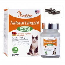 Royal-Pets Natural Lingzhu 天然靈芝(貓用) 30粒